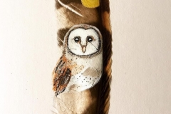 barn_owl