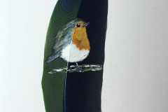 robbin
