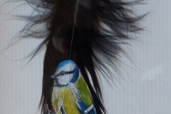 blue_tit