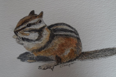 chipmonk