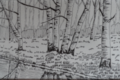 forest