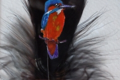 kingfisher