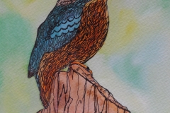 kingfisher_2