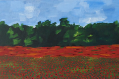 poppies_forest