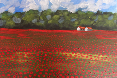 poppies_grey_house