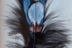 puffin
